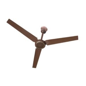 Newman ceiling fan